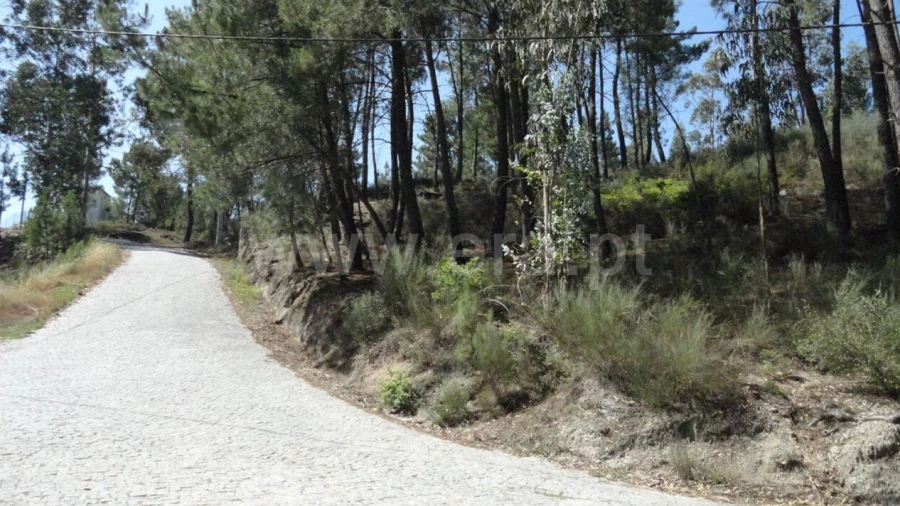 Terreno para Venda em Banho e Carvalhosa