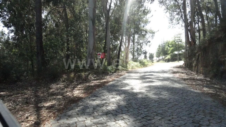 Terreno para Venda em Banho e Carvalhosa Foto 3