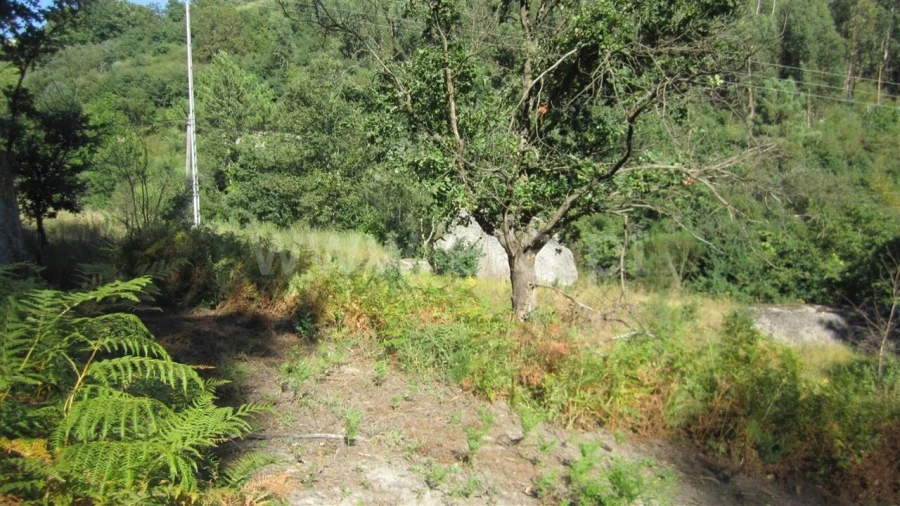 Terreno para Venda em Soalhães Foto 2