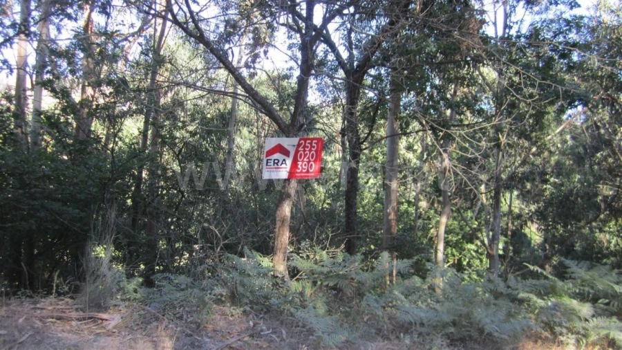 Terreno para Venda em Soalhães Foto 4