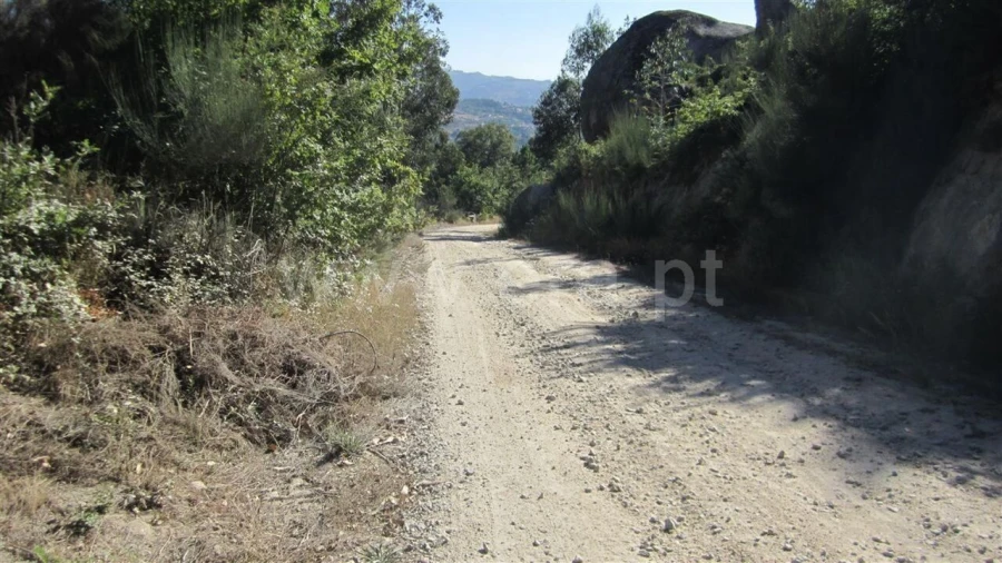 Terreno para Venda em Soalhães Foto 3