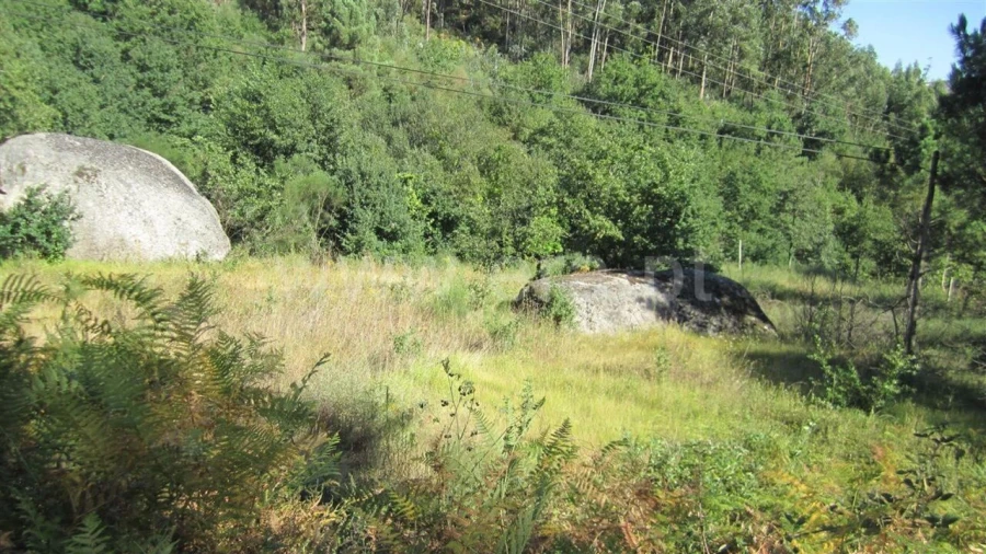 Terreno para Venda em Soalhães Foto 8
