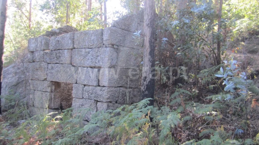 Terreno para Venda em Soalhães