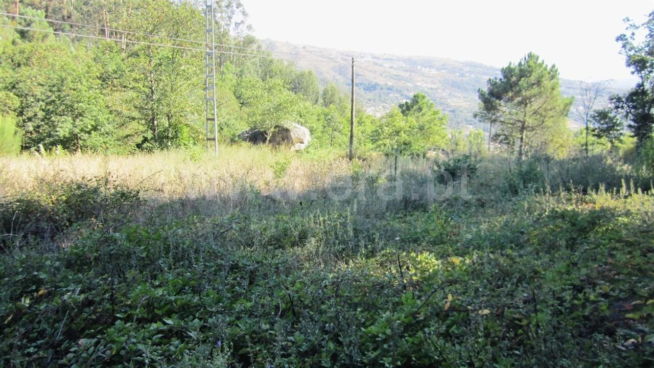 Terreno para Venda em Soalhães Foto 7