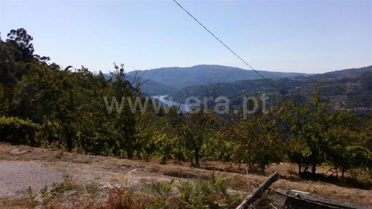 Terreno para Venda em Oliveira do Douro Foto 7