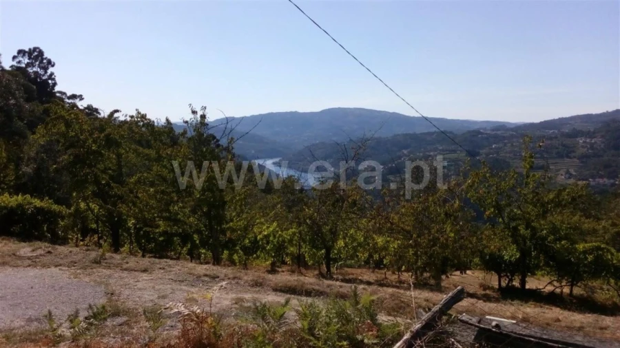 Terreno para Venda em Oliveira do Douro Foto 7