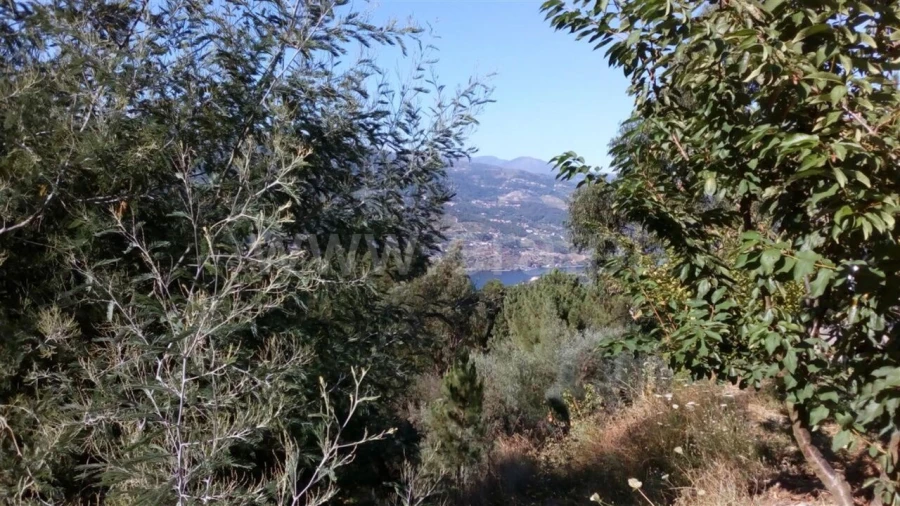 Terreno para Venda em Oliveira do Douro Foto 5