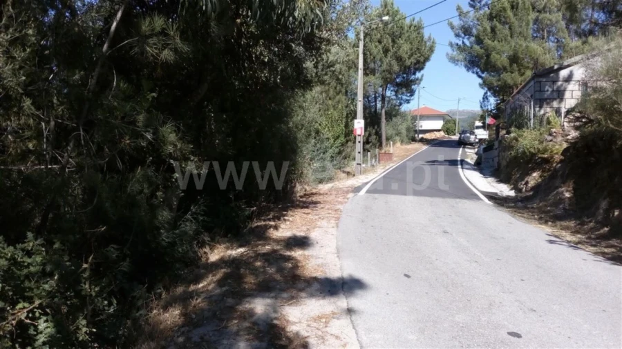 Terreno para Venda em Oliveira do Douro Foto 4