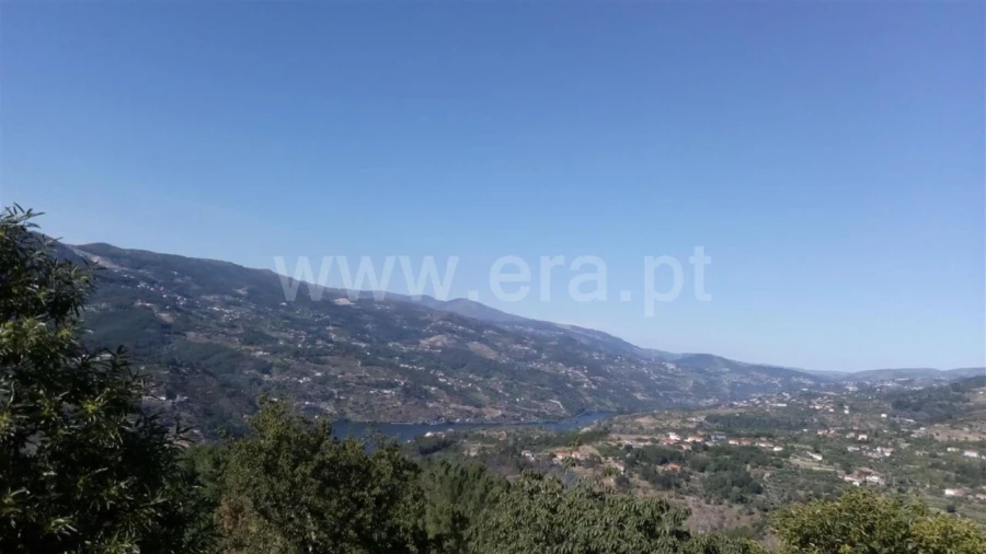 Terreno para Venda em Oliveira do Douro Foto 6