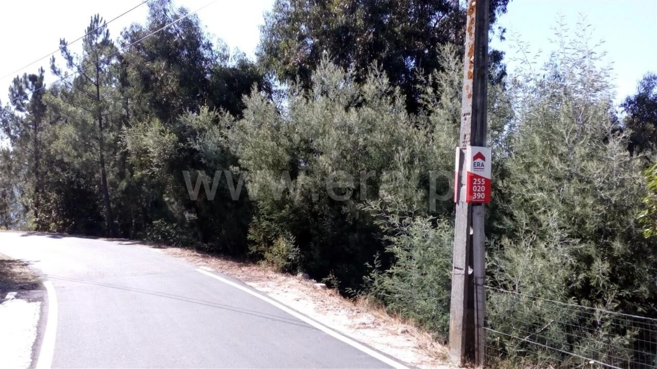 Terreno para Venda em Oliveira do Douro Foto 1