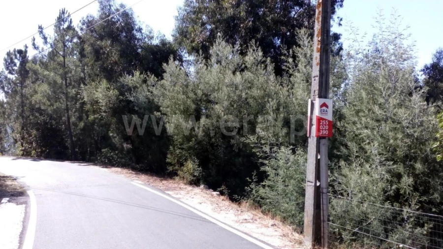 Terreno para Venda em Oliveira do Douro