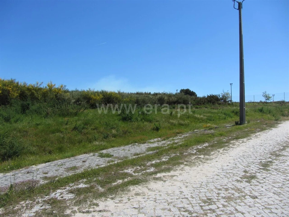 Terreno para Venda em Grilo Foto 3