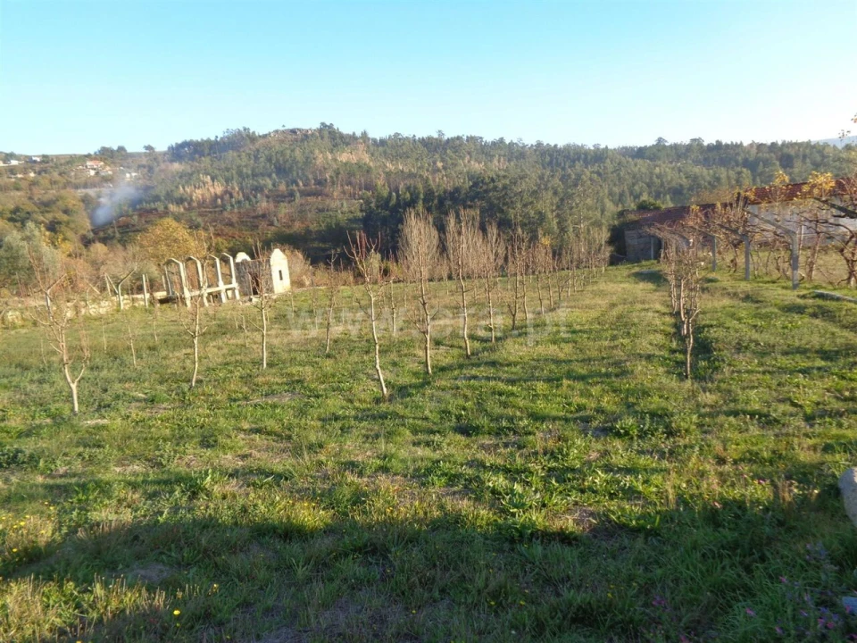 Terreno para Venda em Sande e São Lourenço Foto 4