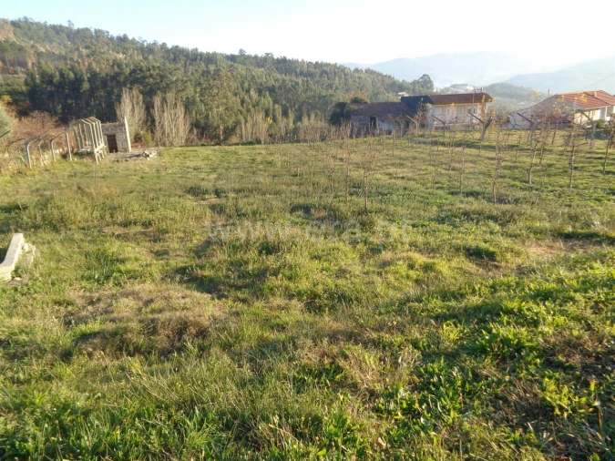 Terreno para Venda em Sande e São Lourenço Foto 1