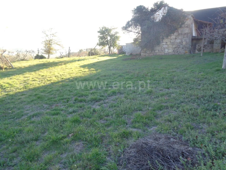 Terreno para Venda em Sande e São Lourenço Foto 5