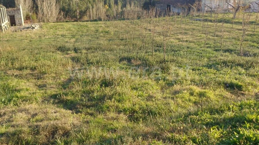 Terreno para Venda em Sande e São Lourenço