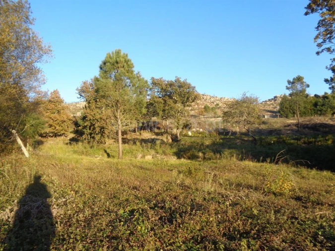 Terreno para Venda em Penhalonga e Paços de Gaiolo Foto 4