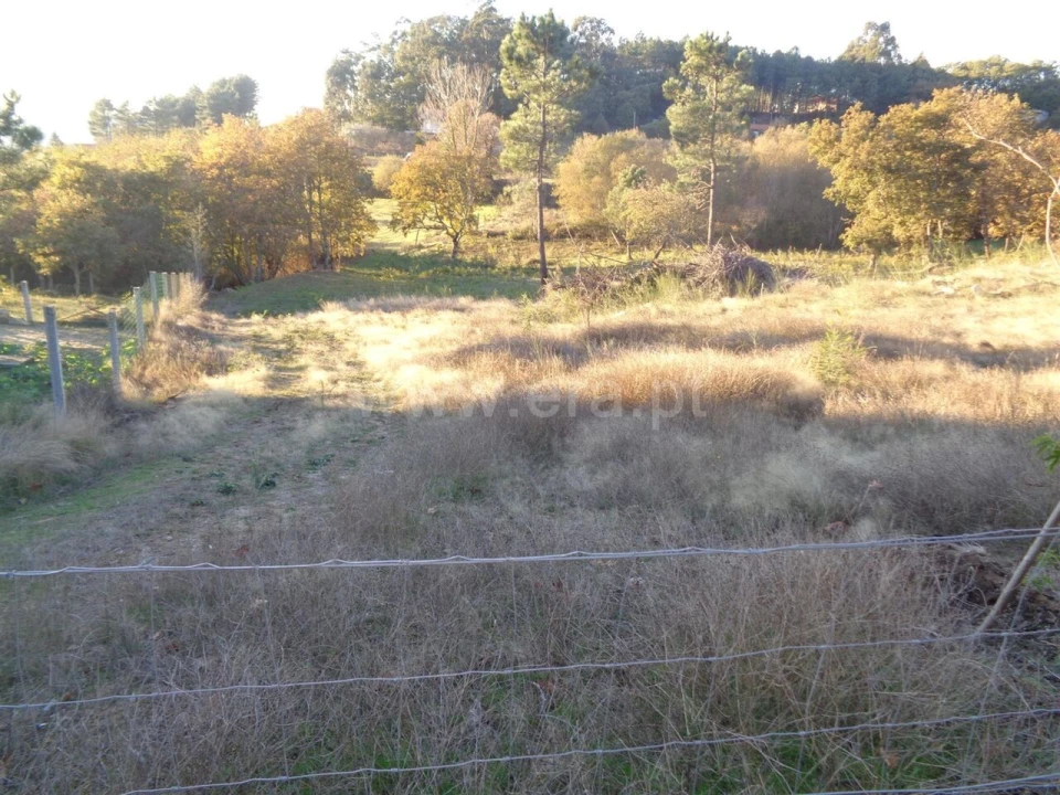Terreno para Venda em Penhalonga e Paços de Gaiolo Foto 5