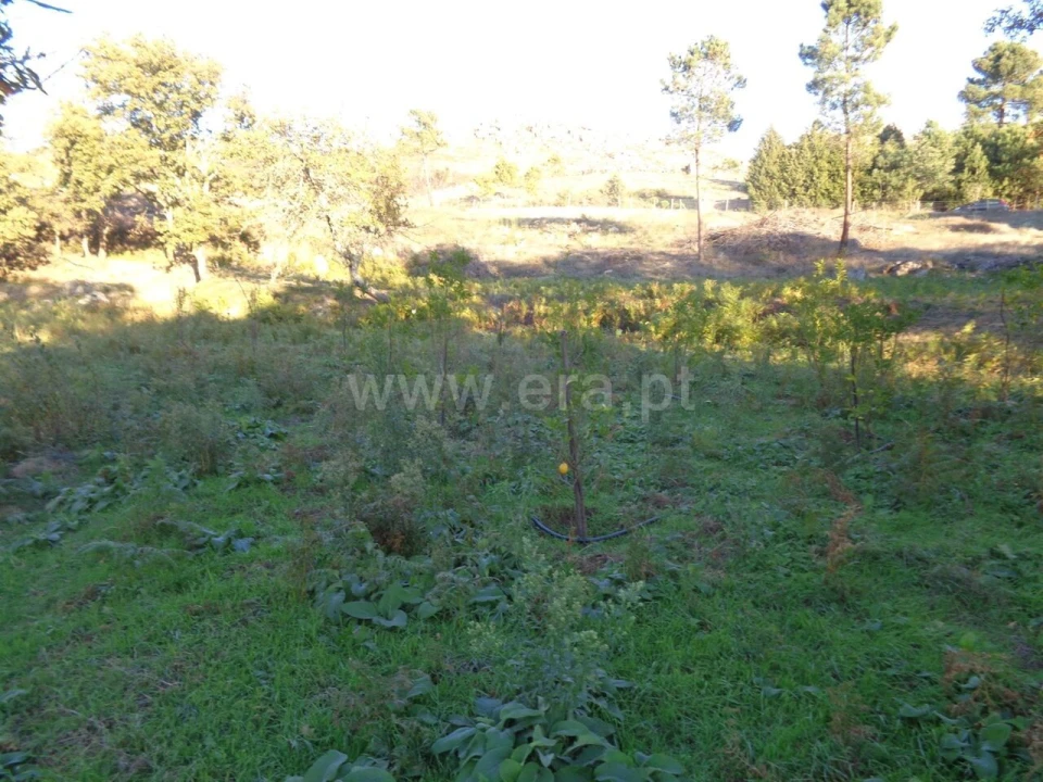 Terreno para Venda em Penhalonga e Paços de Gaiolo Foto 3