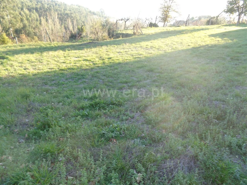 Terreno para Venda em Penhalonga e Paços de Gaiolo Foto 2