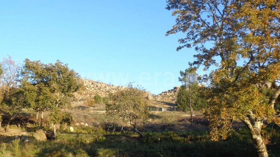 Terreno para Venda em Penhalonga e Paços de Gaiolo