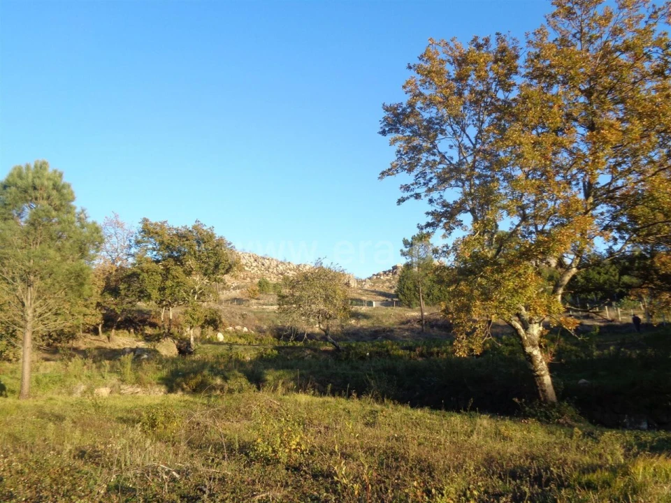 Terreno para Venda em Penhalonga e Paços de Gaiolo Foto 1