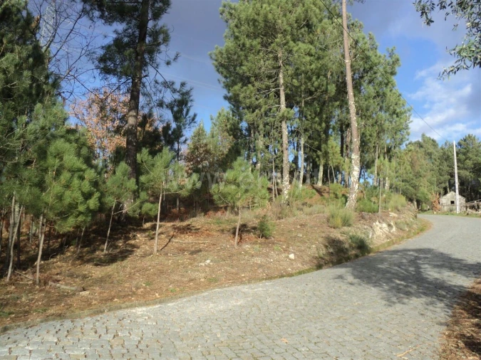 Terreno para Venda em Gove Foto 4