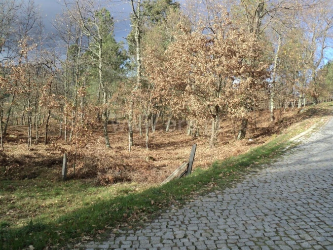 Terreno para Venda em Gove Foto 1