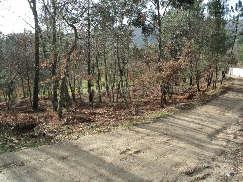 Terreno para Venda em Gove Foto 3
