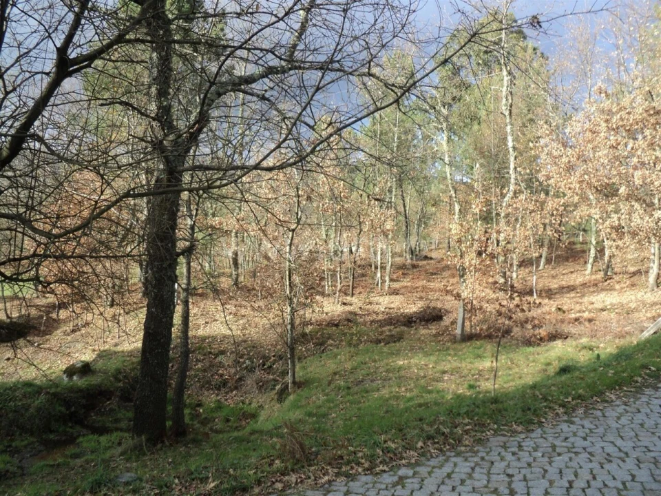 Terreno para Venda em Gove Foto 6