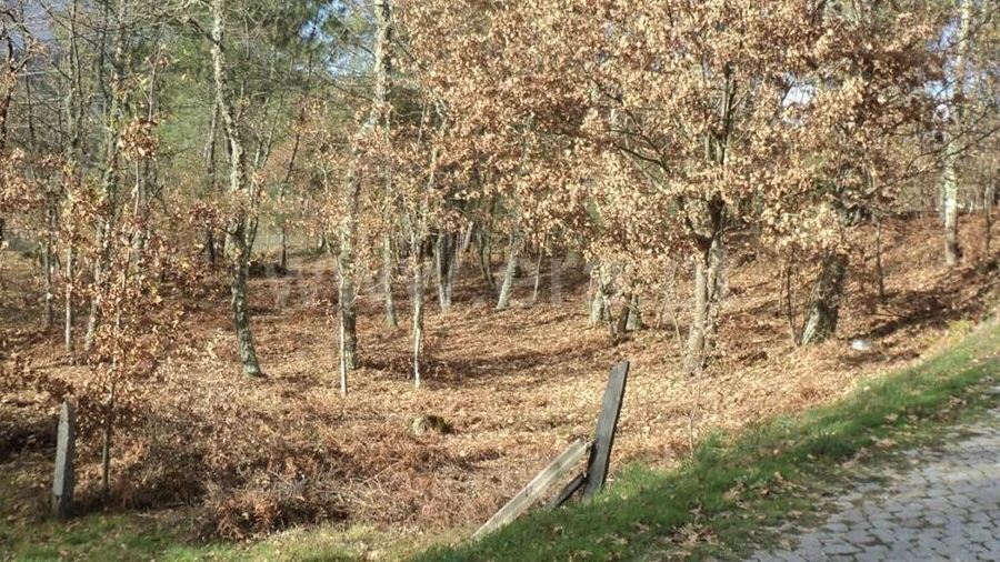 Terreno para Venda em Gove