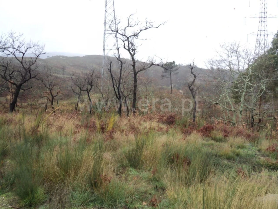 Terreno para Venda em Soalhães Foto 1
