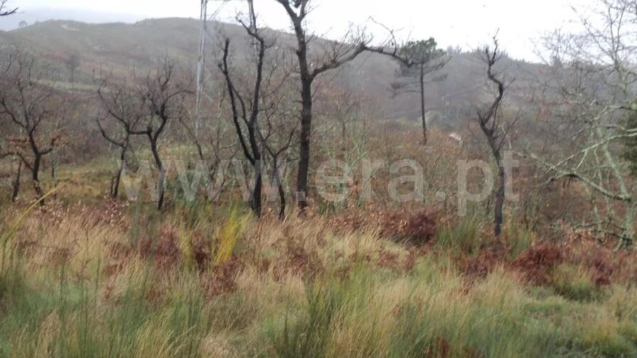 Terreno para Venda em Soalhães