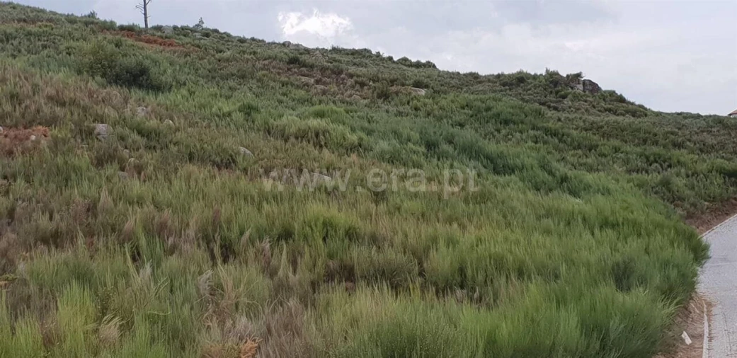 Terreno para Venda em Banho e Carvalhosa Foto 4