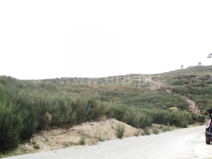 Terreno para Venda em Banho e Carvalhosa Foto 1