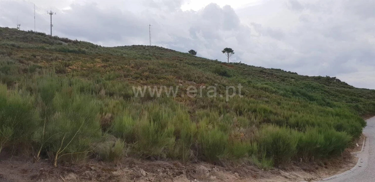 Terreno para Venda em Banho e Carvalhosa Foto 3