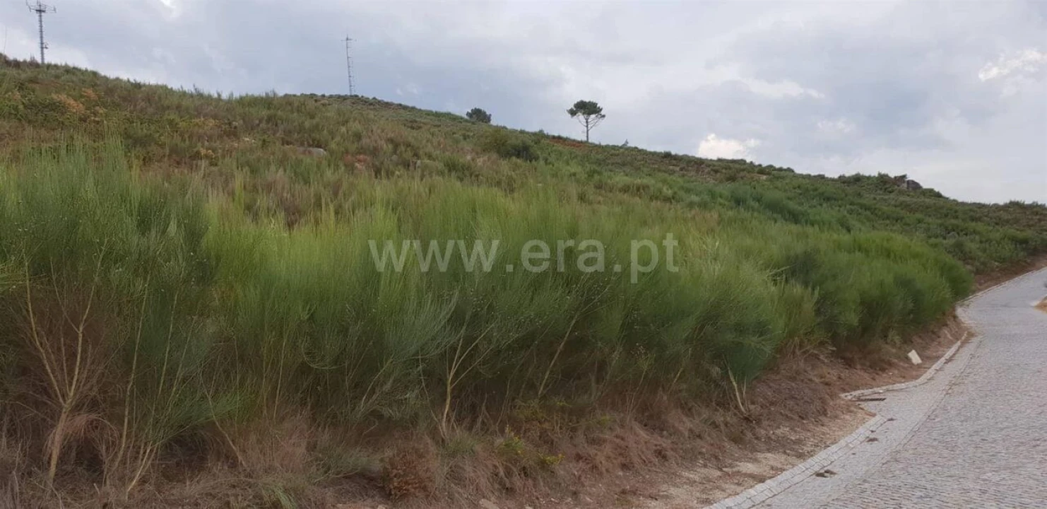 Terreno para Venda em Banho e Carvalhosa Foto 2