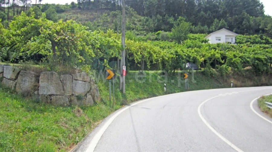 Terreno para Venda em Paredes de Viadores e Manhuncelos Foto 4