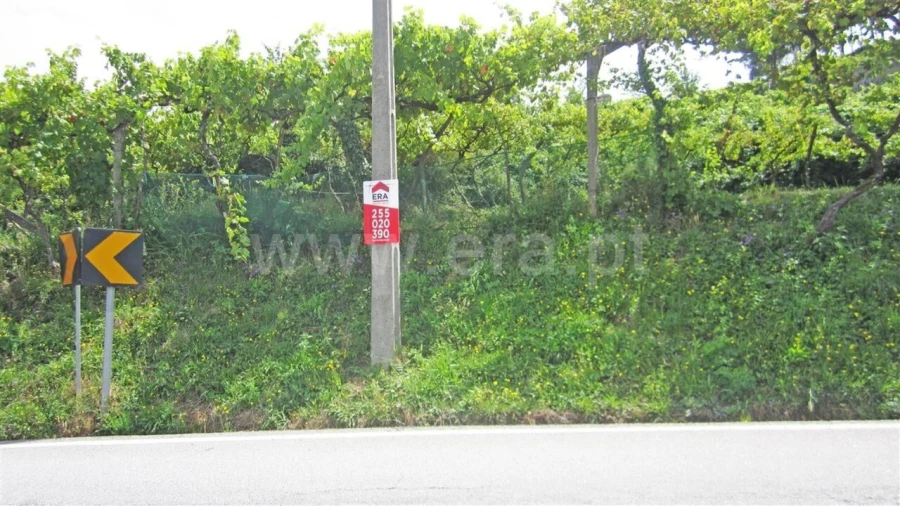 Terreno para Venda em Paredes de Viadores e Manhuncelos Foto 2