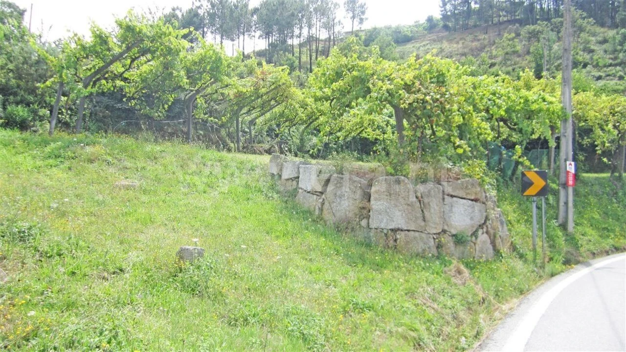 Terreno para Venda em Paredes de Viadores e Manhuncelos Foto 3