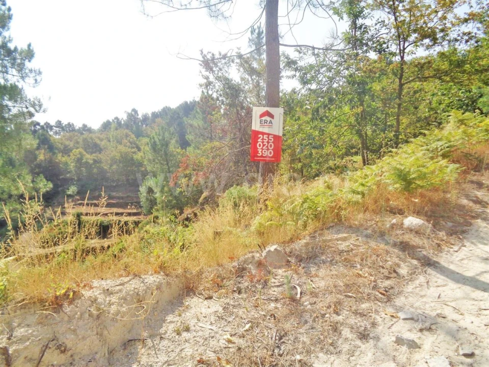 Terreno para Venda em Paredes de Viadores e Manhuncelos Foto 3