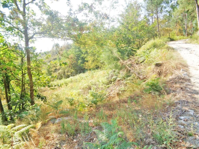 Terreno para Venda em Paredes de Viadores e Manhuncelos Foto 4