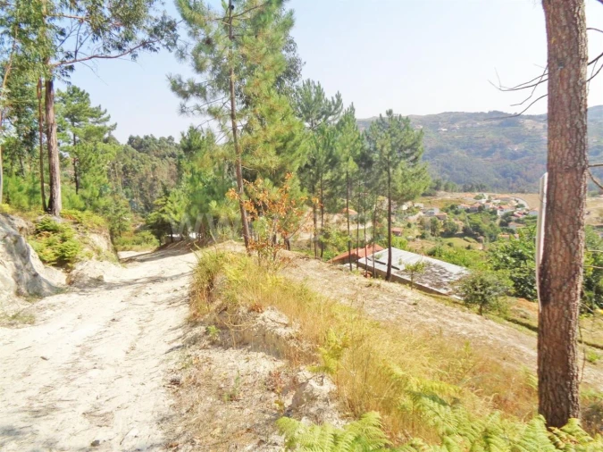 Terreno para Venda em Paredes de Viadores e Manhuncelos Foto 6