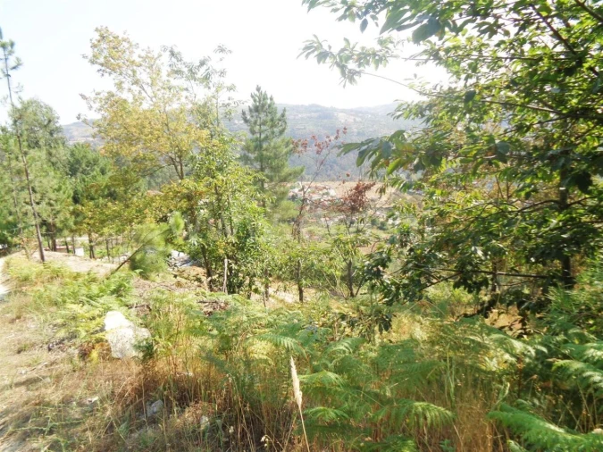Terreno para Venda em Paredes de Viadores e Manhuncelos Foto 2