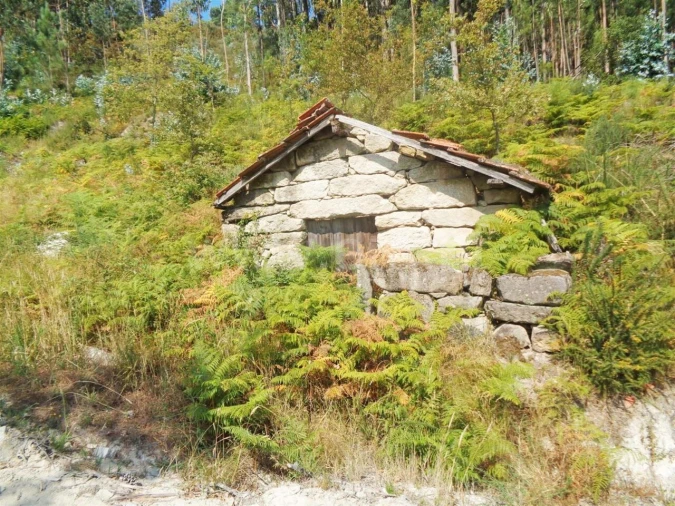 Terreno para Venda em Paredes de Viadores e Manhuncelos Foto 1