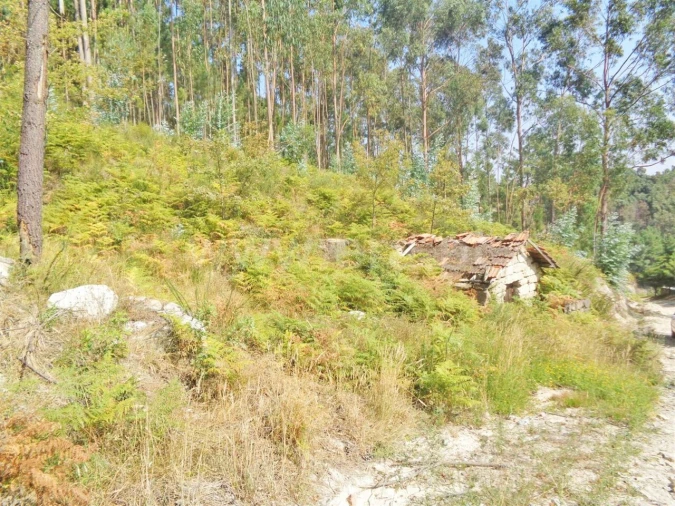 Terreno para Venda em Paredes de Viadores e Manhuncelos Foto 5