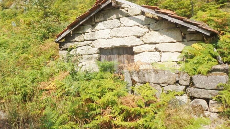 Terreno para Venda em Paredes de Viadores e Manhuncelos