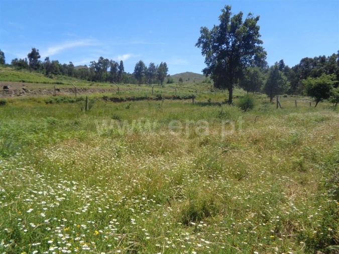 Terreno para Venda em Avessadas e Rosém Foto 3