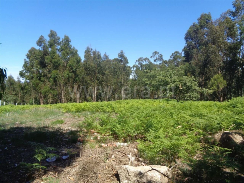 Terreno para Venda em Avessadas e Rosém Foto 1