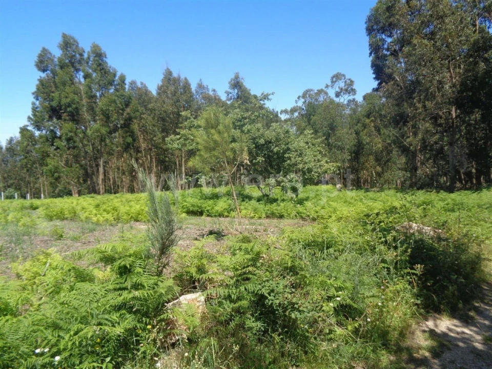 Terreno para Venda em Avessadas e Rosém Foto 5